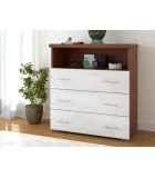 Chest of drawers Exclusive 3SH 1P order